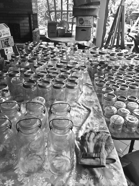 crawl space-canning jars-vintage-hoarding-photo-SwittersB-2