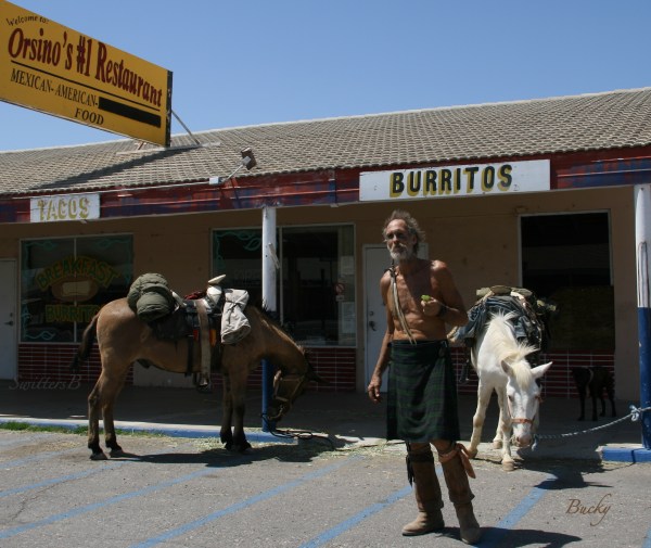 Cuervo-Bucky-Craig Kline-Niland-Nomad-Mules-SwittersB