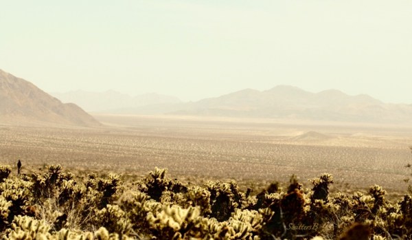 desert-California-photo-Pinto Basin-haze-SwittersB