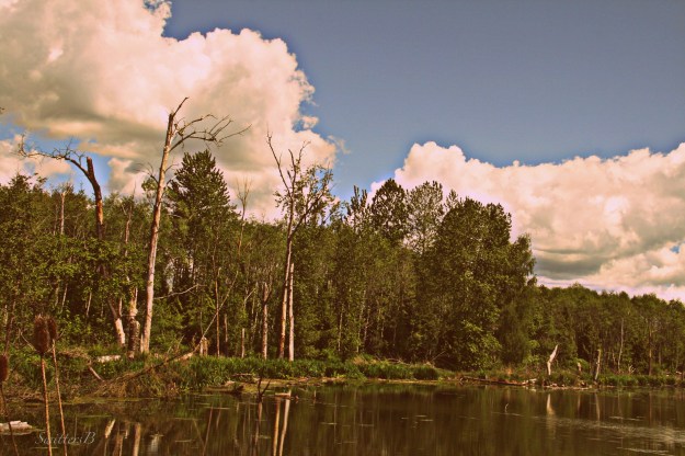 kodak-sky-clouds-Portland-photography-SwittersB