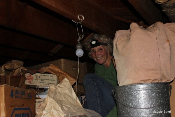 magpie ethel-Laurie-canning jars-hoarding-SwittersB