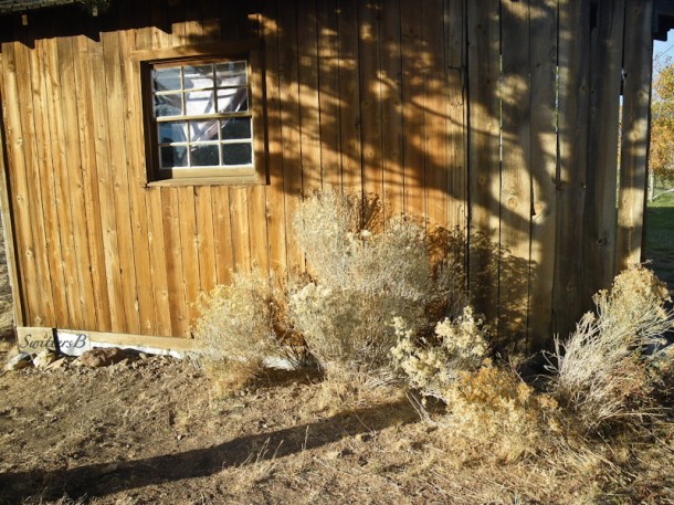 old cabin-setting sun-shadows-rustic-Oregon-SwittersB