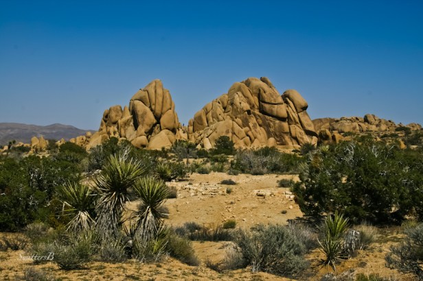 rock formation-desert-Joshua Tree NP-California-SwittersB