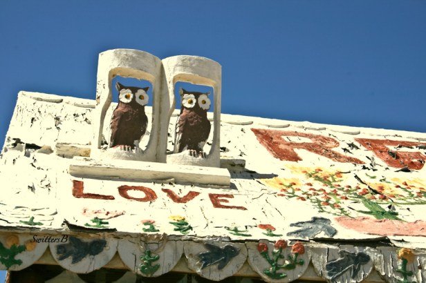 salvation mountain-owls-love-SwittersB-love