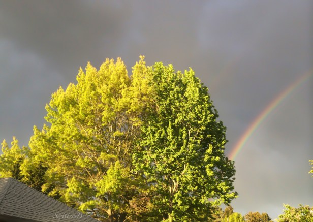 west bright-east skydark-rainbow-Portland-SwittersB