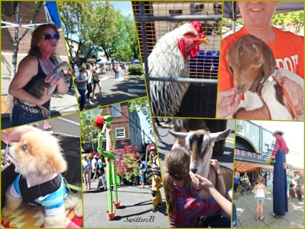 Camas-Garden-Fair-SwittersB-Mother's Day-2015