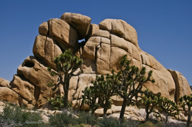 hole-gap-Hidden Valley-Joshua Tree NP-image-SwittersB