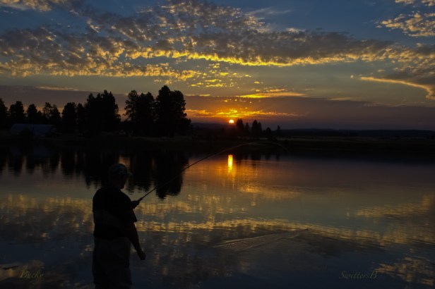 last light-fish on-sunset-Oregon-SwittersB-Bucky