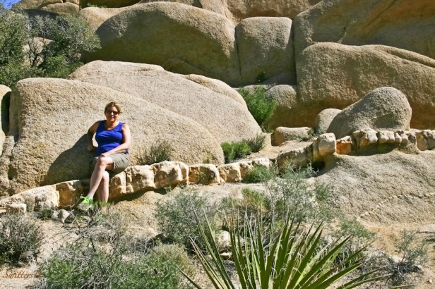 layer-erosion-stratification-desert-Joshua Tree NP-Bucky-SwittersB