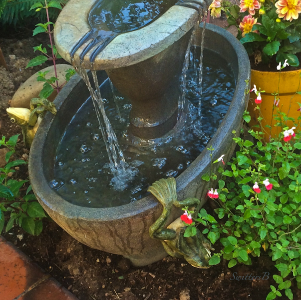 fountain-frogs-garden-backyard-photo-SwittersB