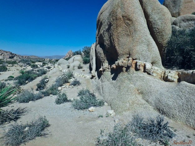 layer exposed-desert-Joshua Tree NP-rock formations-SwittersB