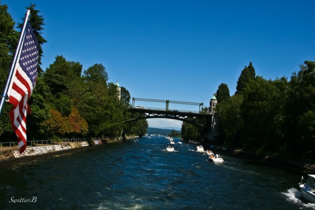 Montlake Cut-bridge-SwittersB-Seattle-boats