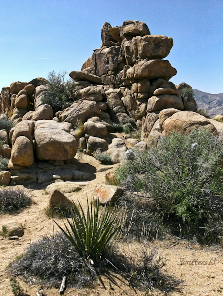 nature-desert scape-Mojave-Joshua Tree-rock formations-SwittersB