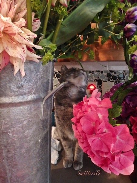 Penny-flowers-SwittersB