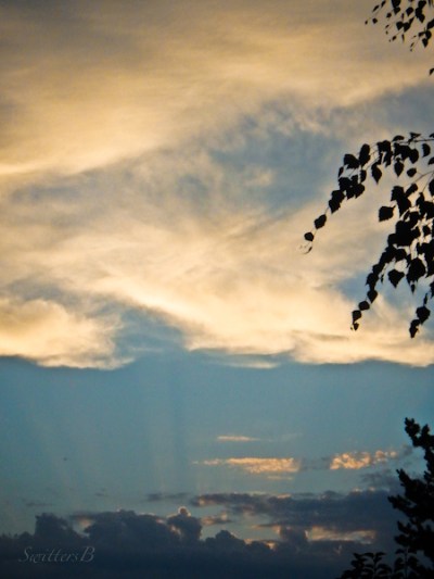 rays-sun-tree-clouds-SwittersB