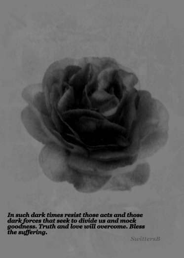 Roses-darkness-kindness-love-SwittersB