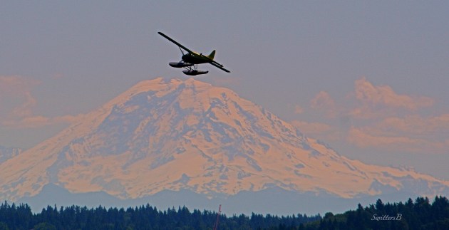 sea plane-mt. rainier-SwittersB-Seattle