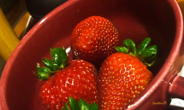strawberries-SwittersB-fruit