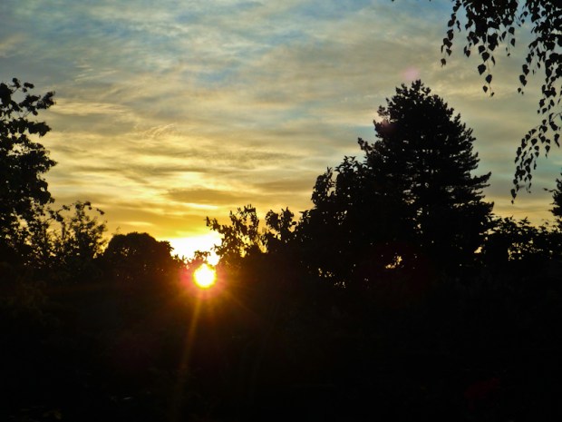 sunrise, new day, morning, SwittersB