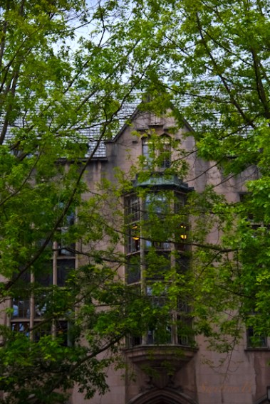 UW Hall-Trees-SwittersB-Gerberding Hall