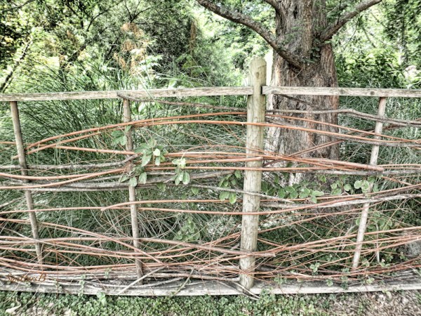 fenceline, woods, SwittersB