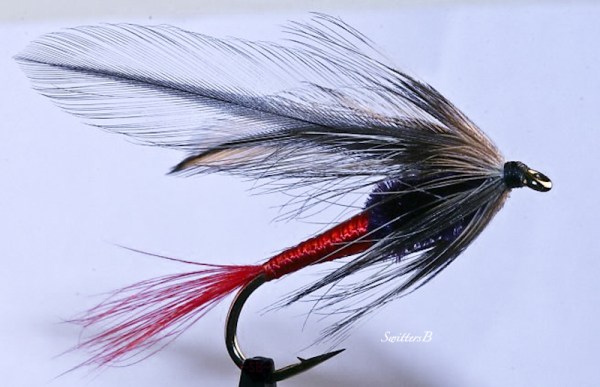 spruce fly-SwitterB-macro-fly pattern