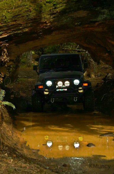 Underpass-puddle-Jeep-Oregon-SwittersB
