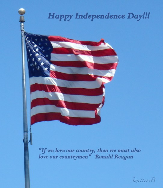 Happy 4th SwittersB