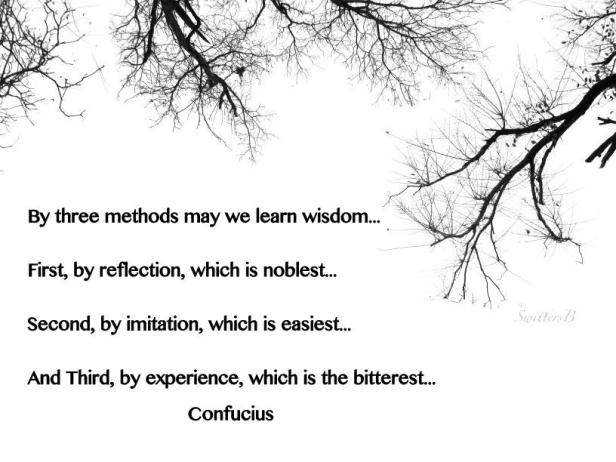 wisdom-photo-SwittersB-branches