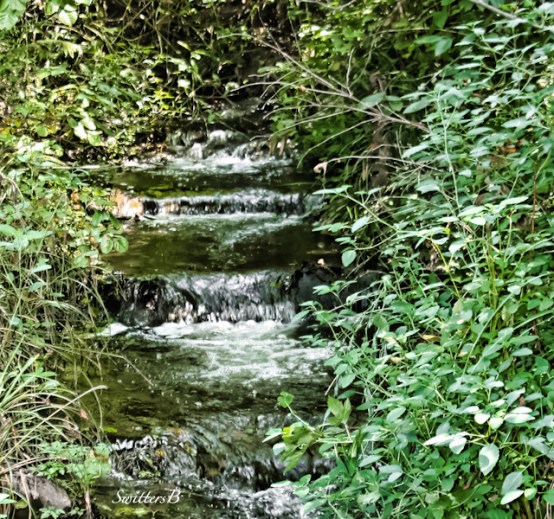 creek-Crystal-Reed-steps-water-SwittersB