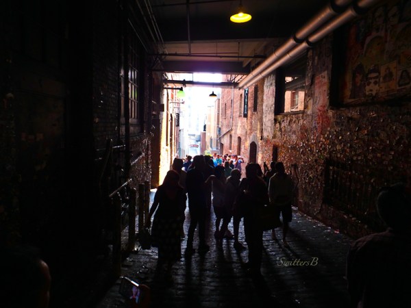 gum wall alley, SwittersB