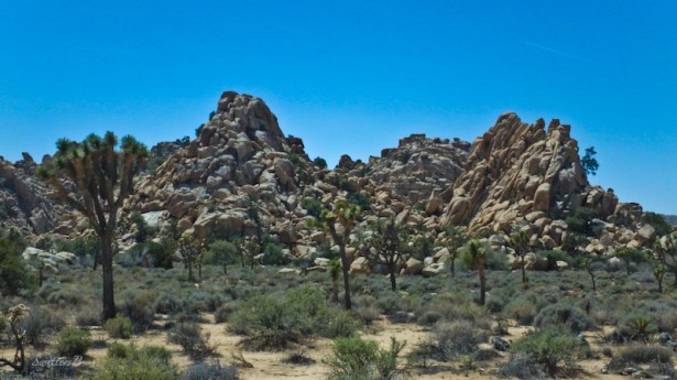 Joshua Tree, desert, rock formation, SwittersB