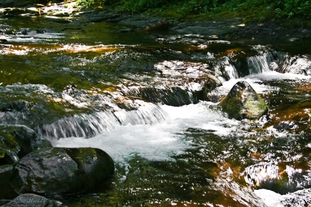 multnomah creek-rapids-stream-SwittersB