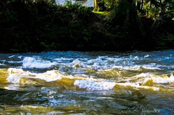 rapids-Oregon-coast-SwittersB