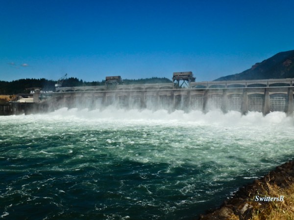 Bonneville Dam Spillway, SwittersB