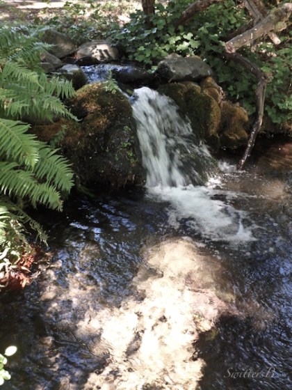 spillway, aeration, pond, hatchery, Bonneville, SwittersB