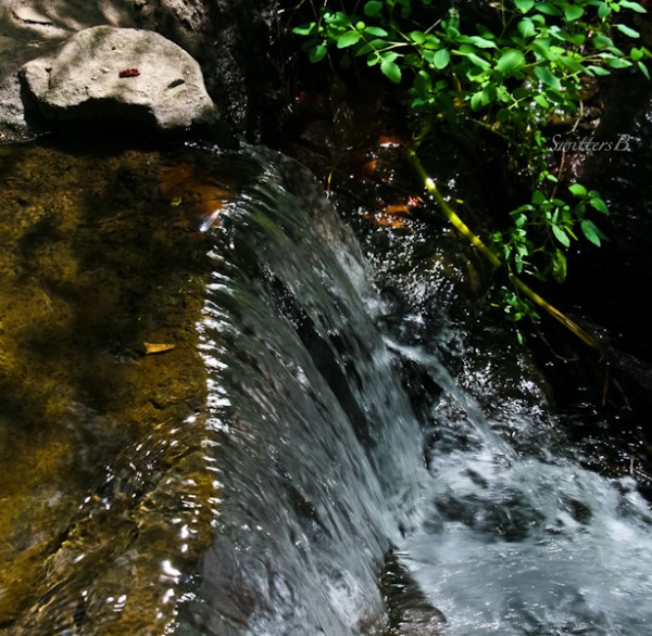 stream-small waterfall-Crystal Spgs-Reed-SwittersB