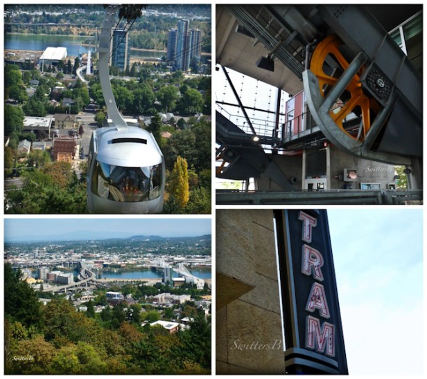 Tram-OHSU-SwittersB-collage