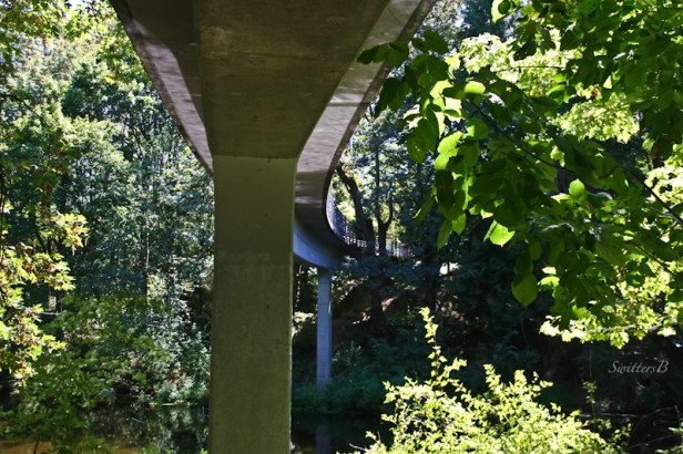 underneath-footbridge-Reed Canyon-SwittersB