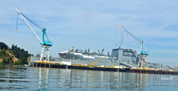 Vigorous dry dock-Portland-SwittersB