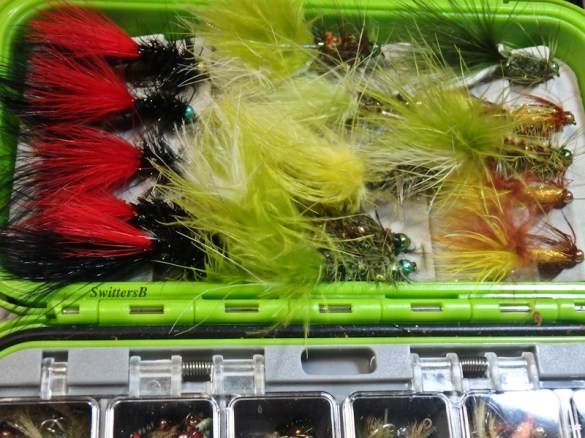 Woolly Buggers-fly pattern-fly box-SwittersB