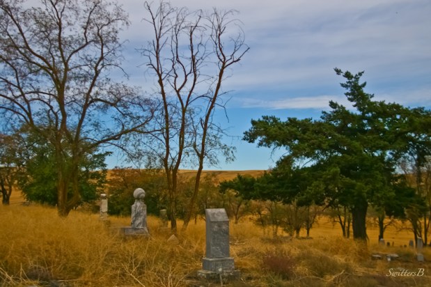 cemetery-SwittersB-Oregon-3
