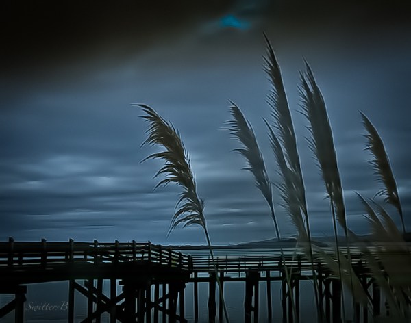 dock-grass-Siletz Bay-SwittersB-Oregon