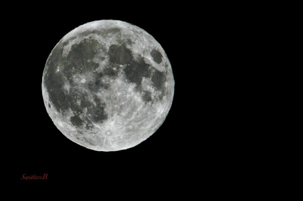 Harvest Moon-9-27-15-Blood-Full-photo-SwittersB