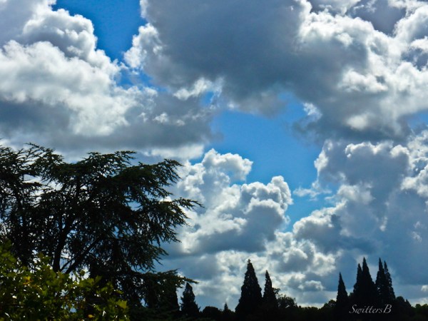 puffy clouds-SwittersB