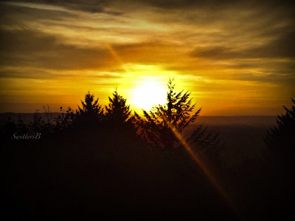sunset rocky butte-Portland-SwittersB
