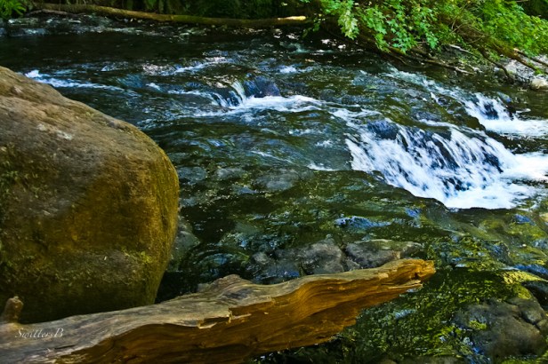 boulder, log, rapids-shade-SwittersB
