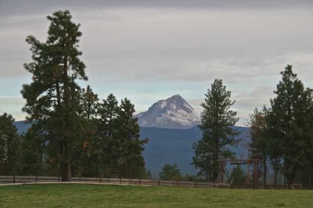mt. hood-wamic-pines-Oregon-SwittersB