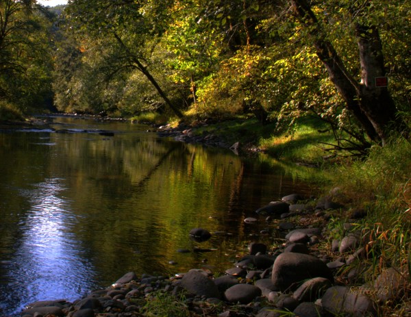 Reflection, shimmer, river, SwittersB