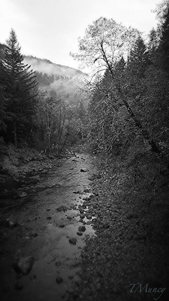 Salmon R.-Oregon-Mt. Hood-TMuncy-SwittersB